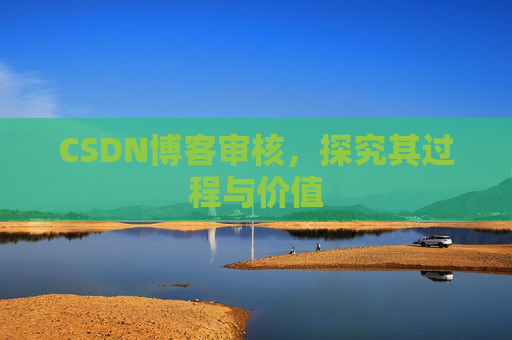 CSDN博客审核，探究其过程与价值